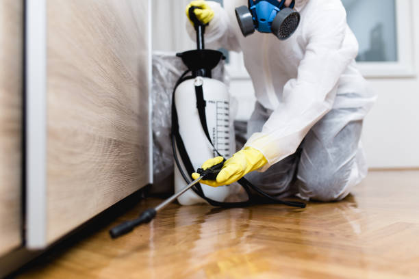 Best Pest Prevention Services  in Van Wert, OH