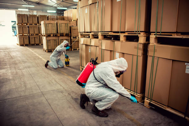 Best Wasp Removal Services  in Van Wert, OH