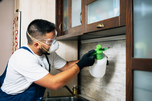 Best Insect Control  in Van Wert, OH