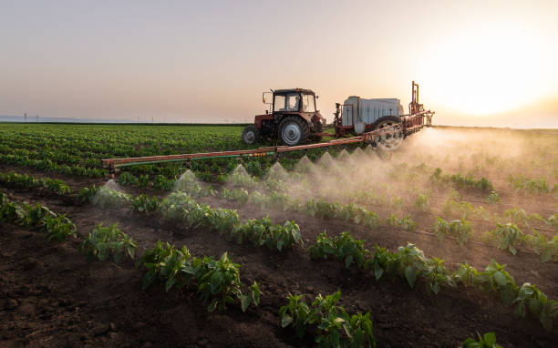 Best Best Pest Control Companies  in Van Wert, OH