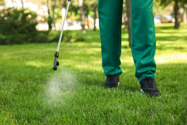 Best Flea Control Services  in Van Wert, OH