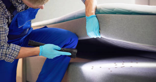 Best Rat Extermination Near Me  in Van Wert, OH
