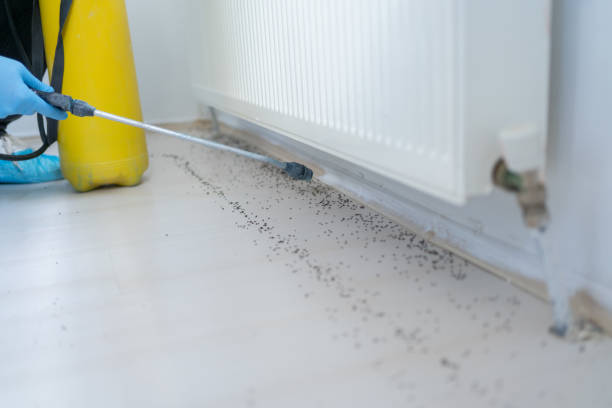 Best Best Pest Control Companies  in Van Wert, OH